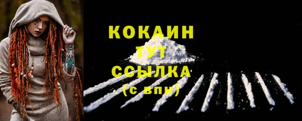 трава Гусиноозёрск