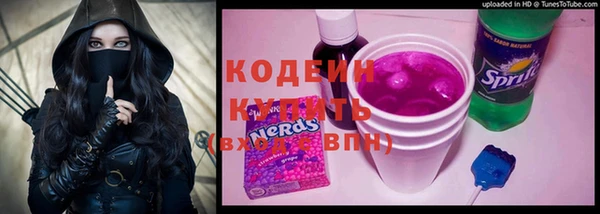 трава Гусиноозёрск