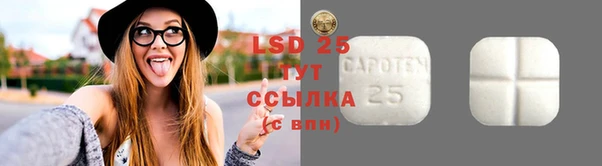трава Гусиноозёрск