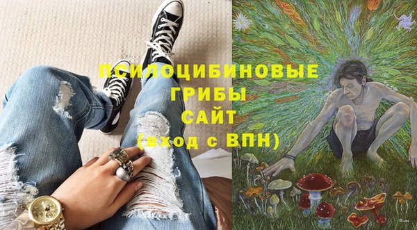 трава Гусиноозёрск