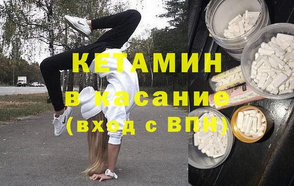 трава Гусиноозёрск