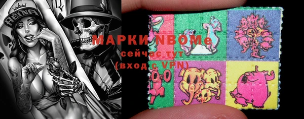 трава Гусиноозёрск